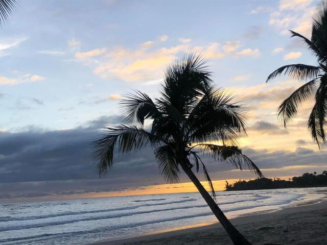 The article highlights how The Gambia has bounced back strongly from the severe pandemic downturn that devastated its tourism sector in 2020–2022. After record highs of over 230,000 international visitors in 2019, tourist arrivals collapsed during COVID-19 but rebounded significantly by 2022 and fully recovered in the 2023/24 season, returning to pre-crisis levels. Gambia’s uncrowded beaches, rich culture, diverse wildlife and English-speaking population make it an attractive, safe destination. The tourism board is now focusing on quality, sustainability and diversified markets for future growth. Forecasts for 2025 are optimistic, with Gambia recognized as one of the fastest-growing destinations.